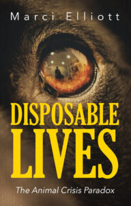 Disposable Lives, Cover